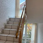 Arador